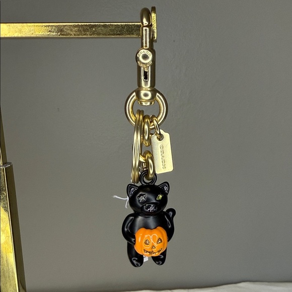Coach Accessories - Coach Halloween Black Cat Pumpkin Bag Charm / Keychain – NWT, Retired & Sold Out